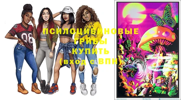 метадон Осташков