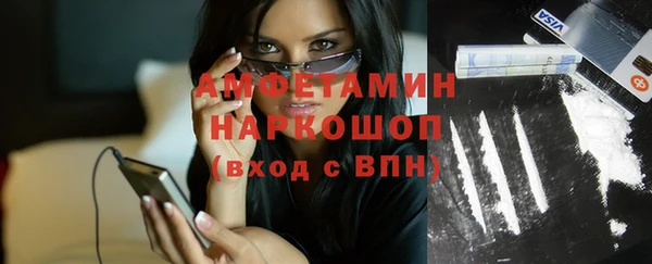 сатива Осинники