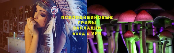 дживик Остров