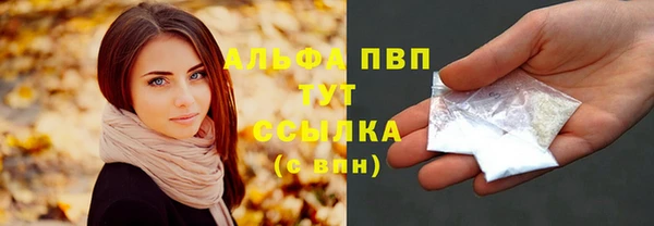 сатива Осинники