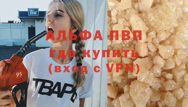 сатива Осинники