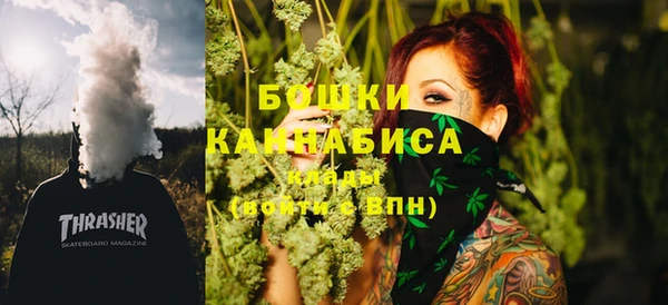 сатива Осинники