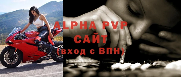 сатива Осинники