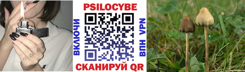 Псилоцибиновые грибы GOLDEN TEACHER  маркетплейс состав  Чехов 