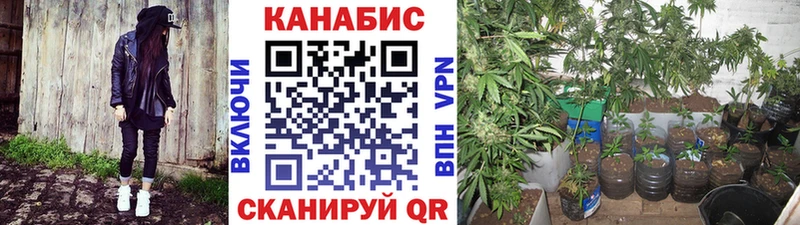гидра сайт  Чехов  Бошки марихуана THC 21% 